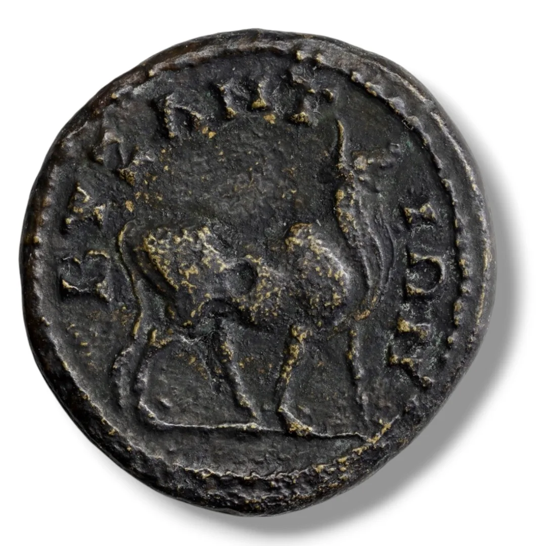 THRACE, Byzantion. AE16 Autonomous Bronze, c. 3rd–2nd century BC (2.3 g, 16 mm).