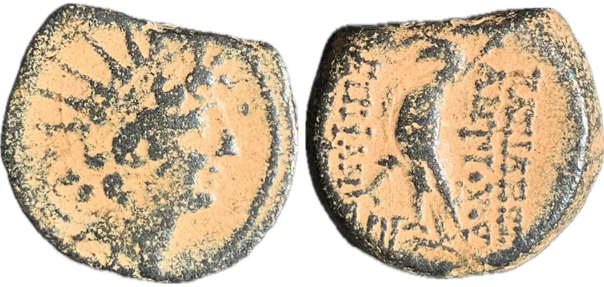 Seleucid Empire - Antiochus VIII