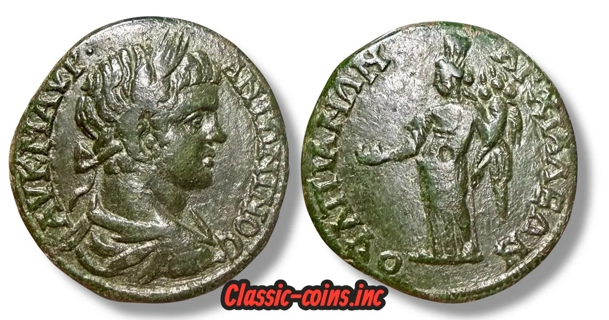 ANCHIALUS TRACE