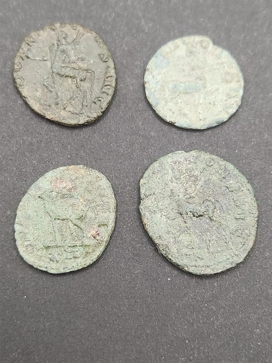 Gallienus Zoo Issues, 4 Antoninioni