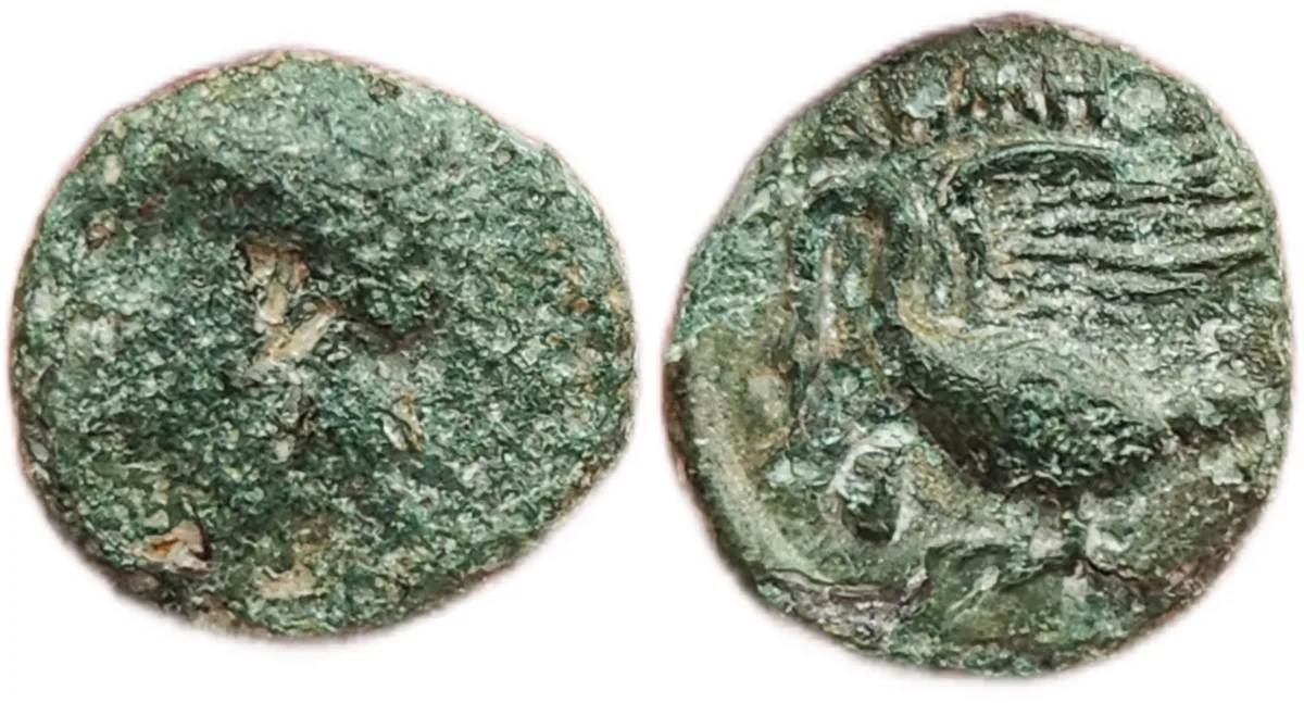 Ionia, Swan and Apollo