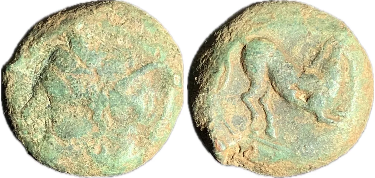 Carthage - Bronze Unit