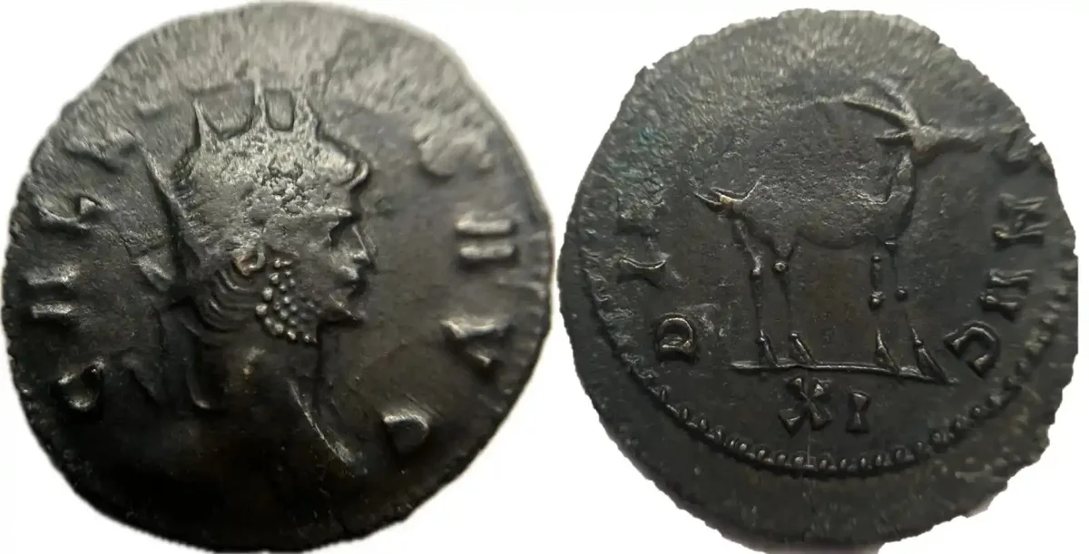 Gallienus Billon Antoninianus | ZOO SERIES Stag | Rome Mint | 21mm, 2.9g