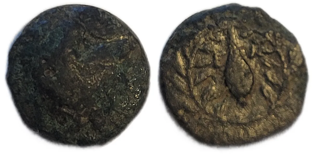 Elaia Aeolis Athena/Grain Ear in Wreath