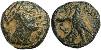 PTOLEMAIC KINGS of EGYPT. Berenike II, wife of Ptolemy III. c. 244-241 BC