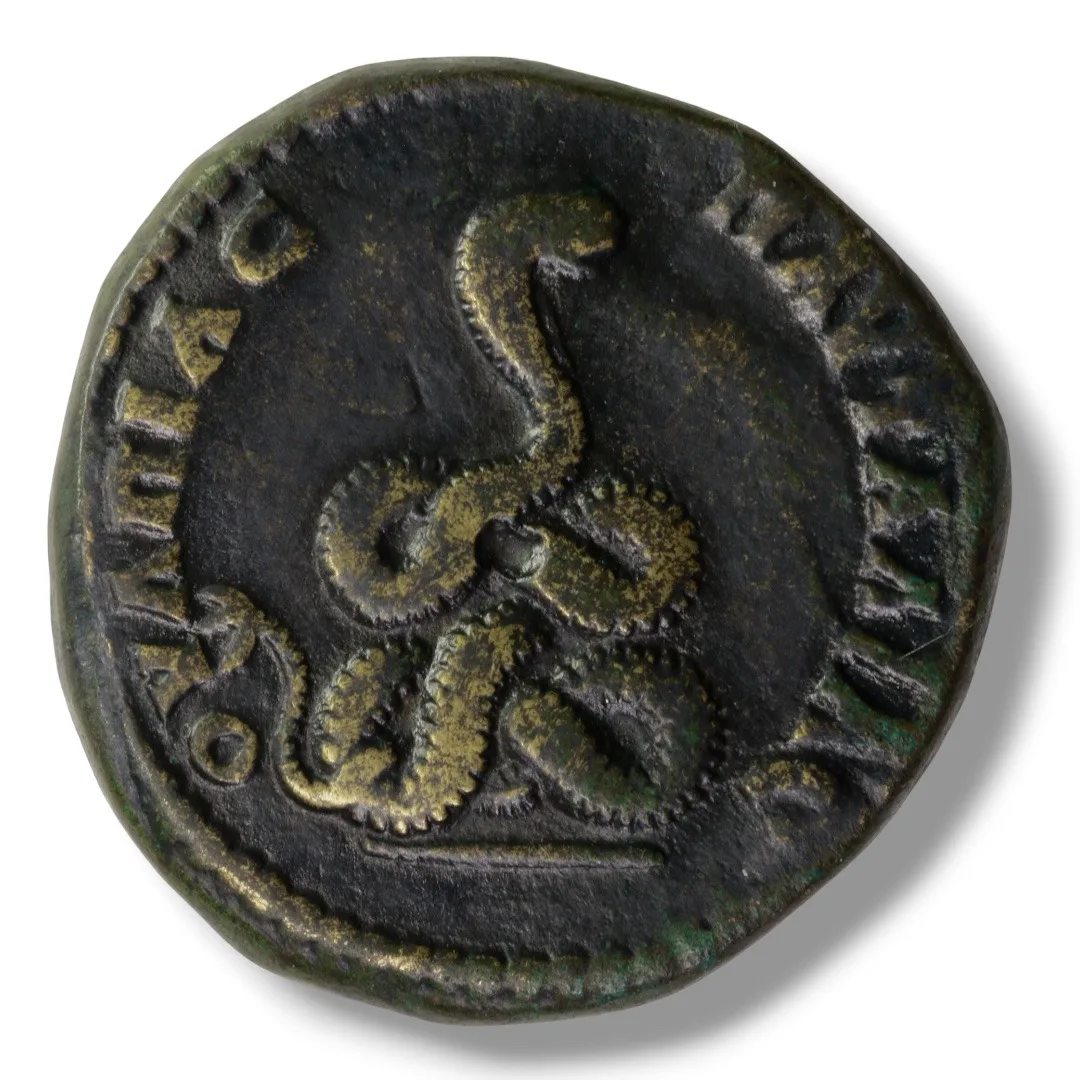THRACE, Pautalia. Septimius Severus, AD 193-211. Æ 29 mm, 17.3 g, 7h.