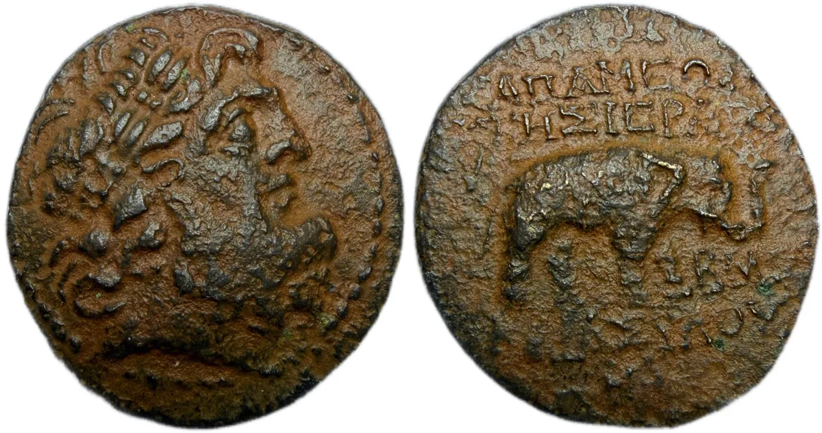 Seleukis and Pieria, Apameia 242 71/0 BC - Rare date
