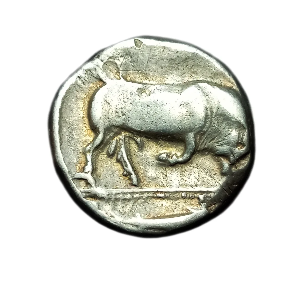 LUCANIA, THOURIOI. Silver Nomos, circa 350-300 BC."BULL & DOLPHIN"