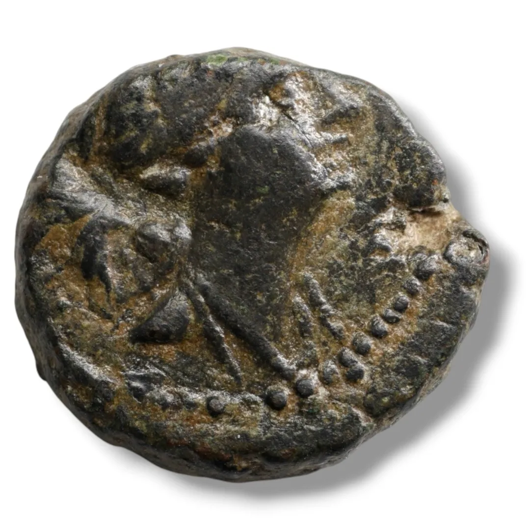 Seleukos III Soter, 225-222 BC (Seleucid Kingdom)
