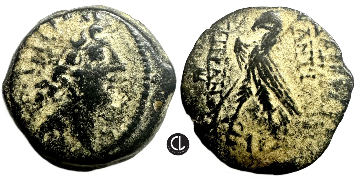 Seleukid Empire, Antiochos VIII Epiphanes (Grypos), Antiochia on the Orontes Mint, BC 121/0, Diademed Head / Eagle