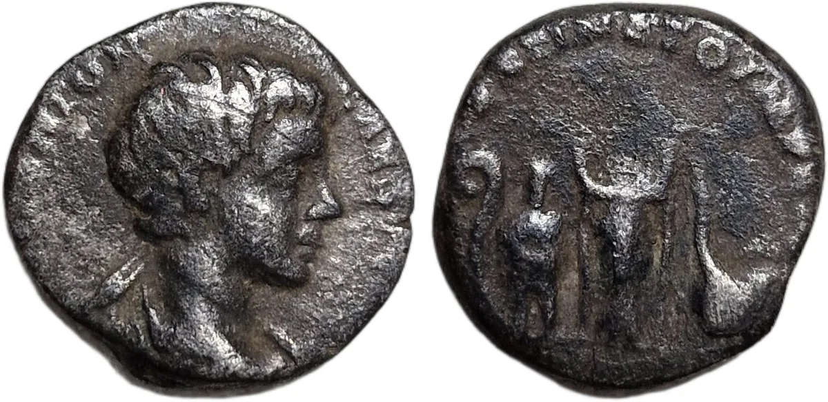 Caracalla, as Caesar denaarius 196-198 AD