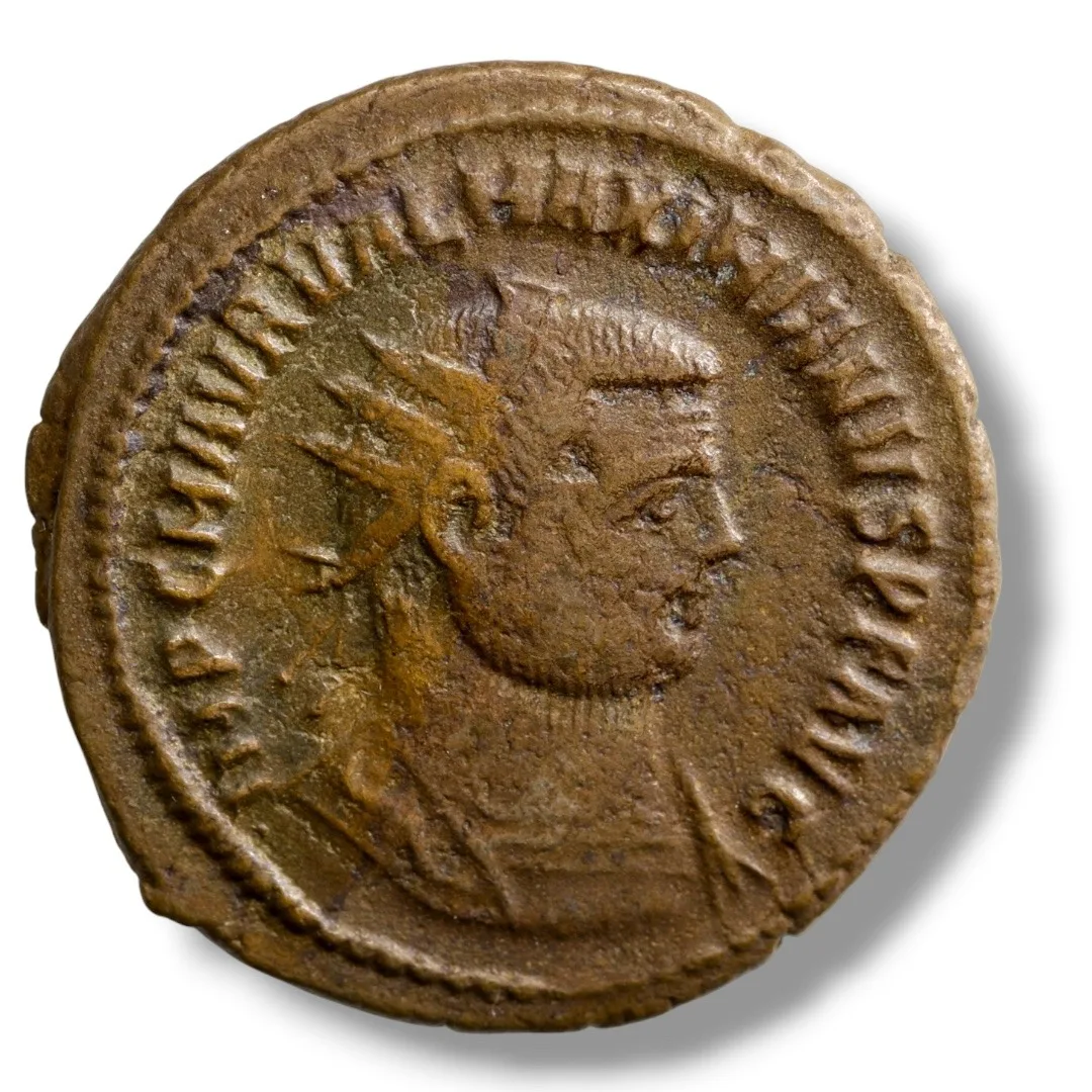 : Maximinus II Daia  AD 310–313