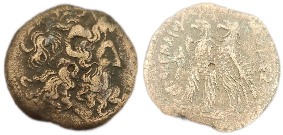 Ptolemy IX Soter II or Ptolemy X Alexander I - AE