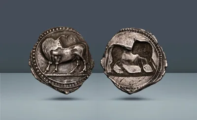 Magna Graecia, Lucania. Sybaris, c. 550-510 BC
