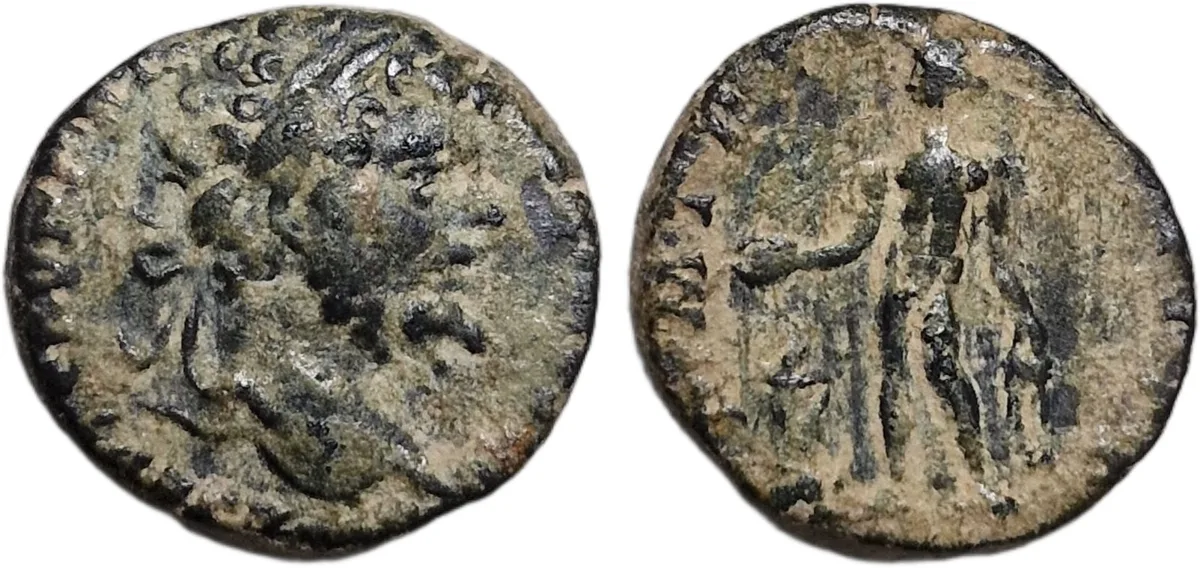 Septimius Severus limes denarius (193-211 AD) Rome
