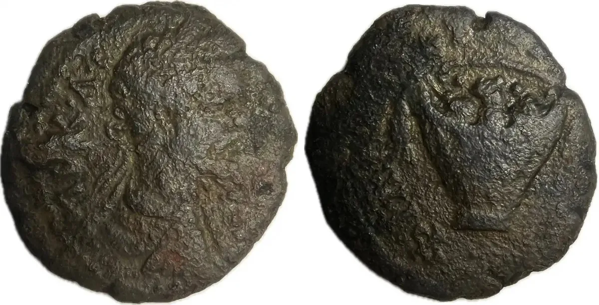 Septimius Severus AE18 Assarion of Philippopolis | Rv. Basket of Fruit | 3.9g