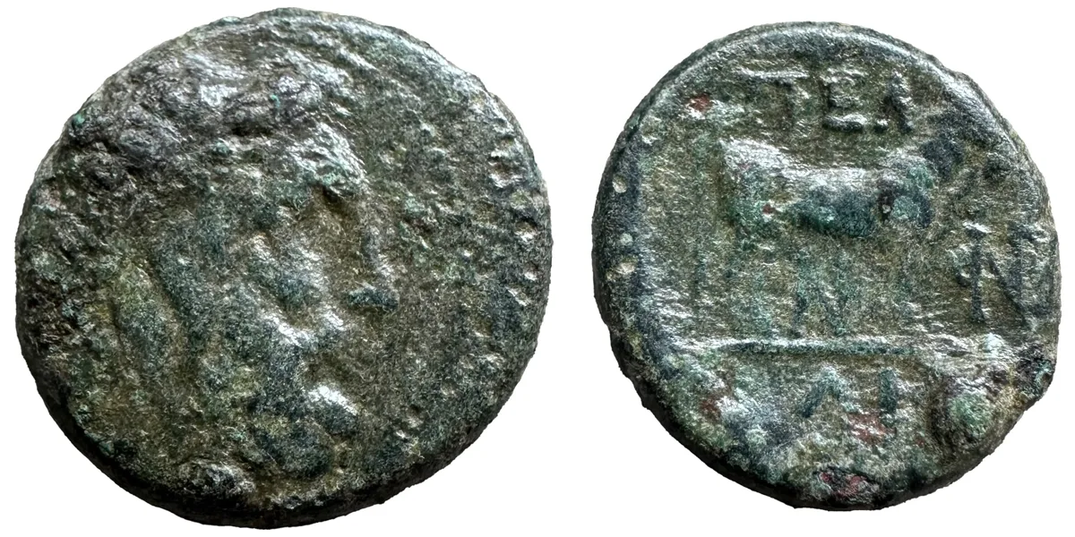 Macedon, Pella. AE Unit.