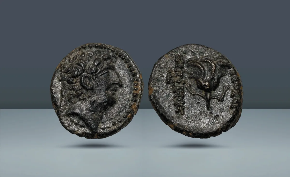 Seleucid Empire, Syria. Antiochus VIII (Grypos), 121/0-97/6 BC, Antioch, c. 109-96 BC