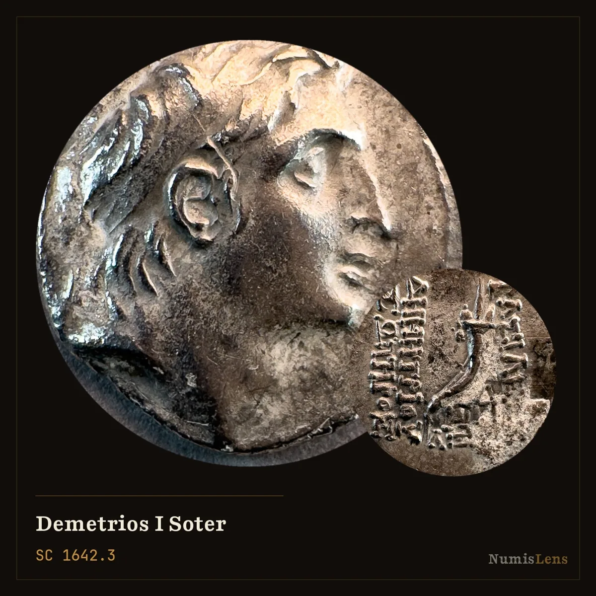 Demetrios I Soter — Drachm, Cornucopia, Antioch