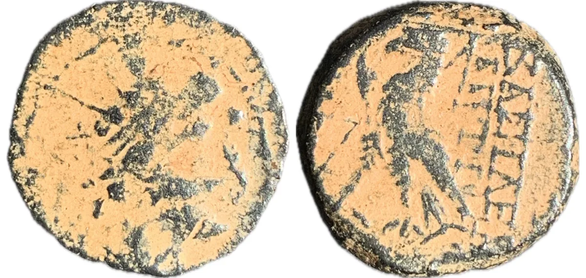 Seleucid Empire - Antiochus VIII