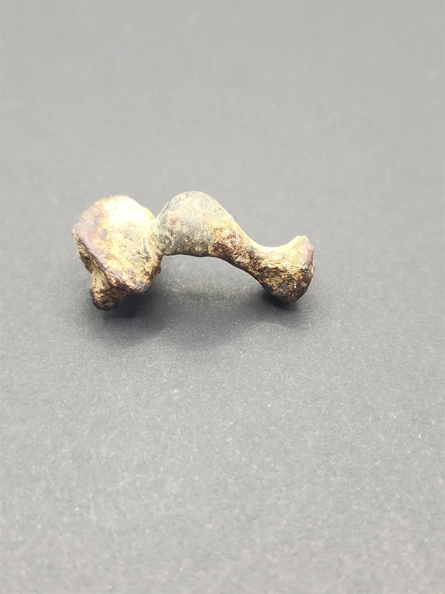 Roman Fibula