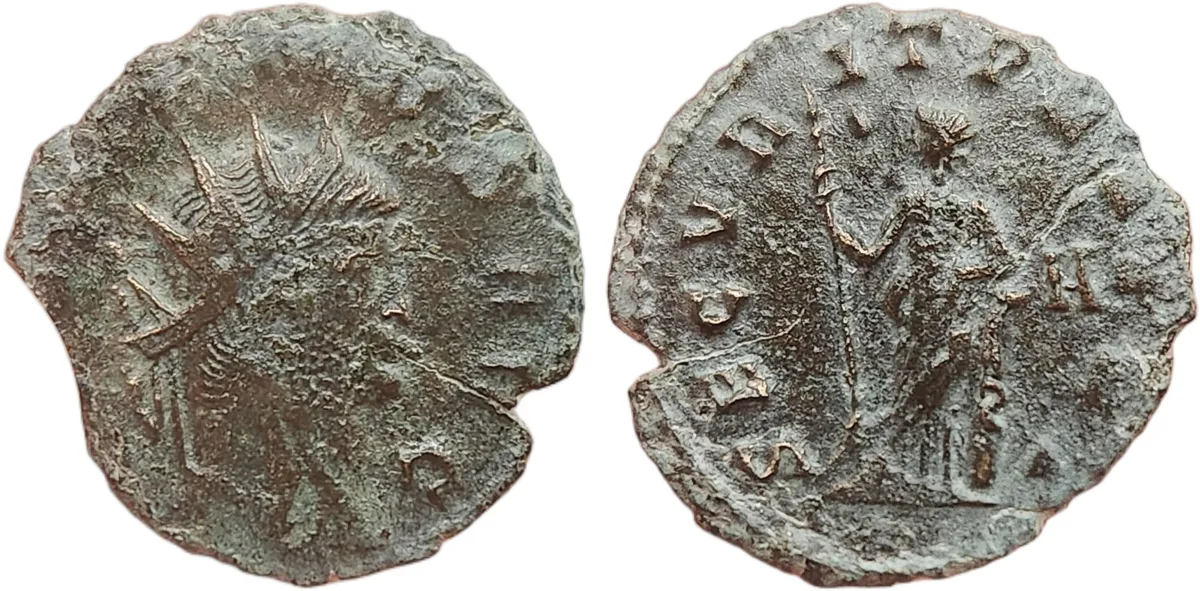 Gallienus Brassy Highlights