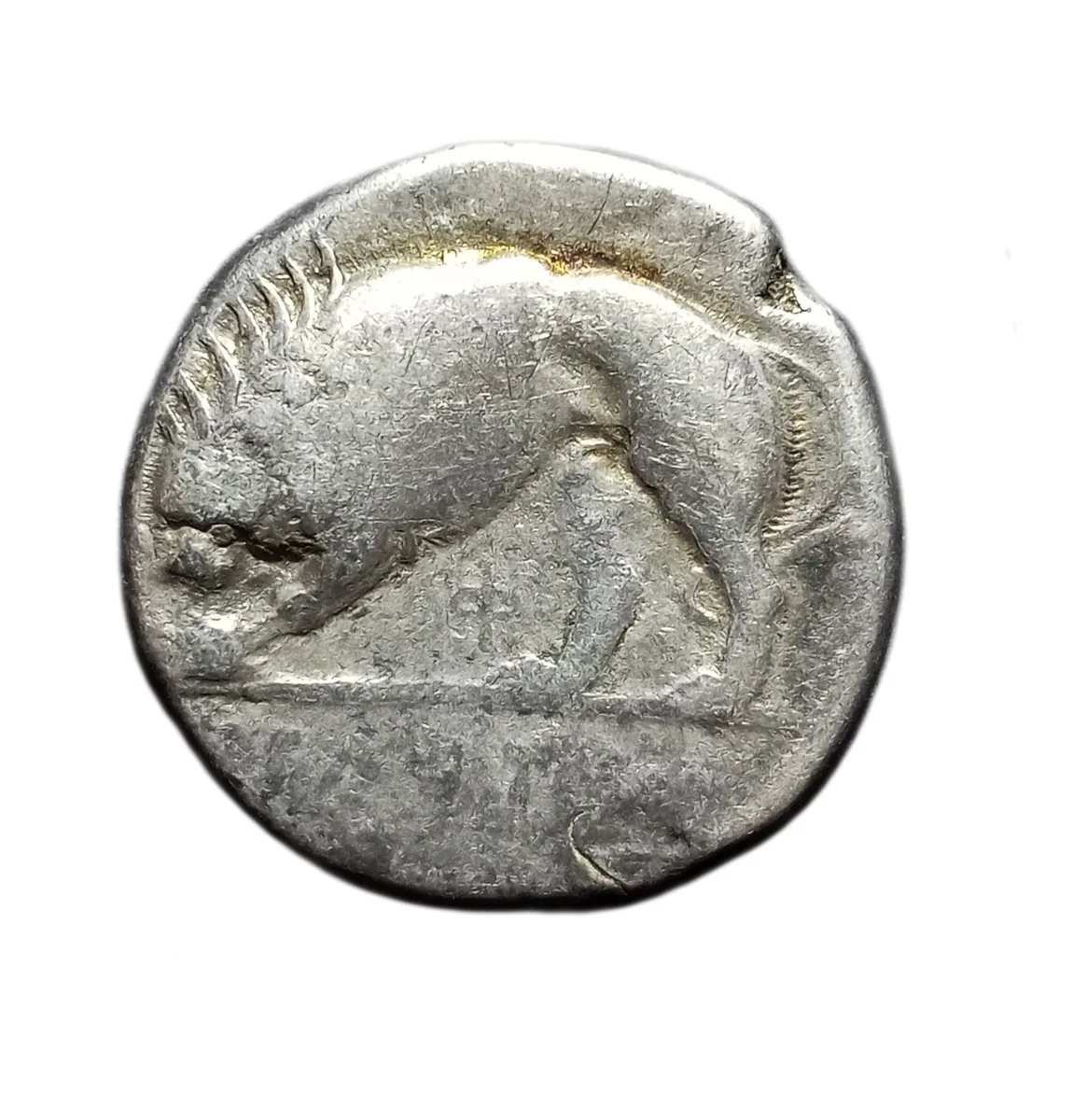 LUCANIA. Velia. Nomos - Didrachm (Circa 334-300 BC).