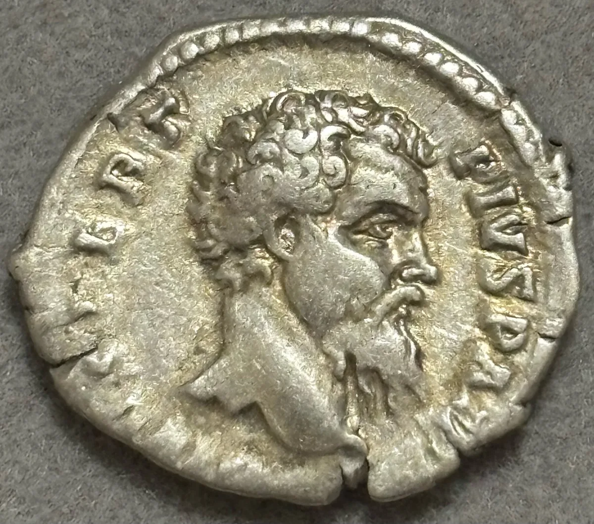 Divus Pertinax. Struck under Septimius Severus 193-194. Denarius. Rome