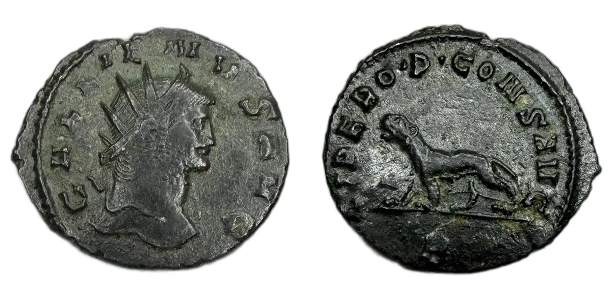Gallienus, 253-268 Antoninianus Rome circa 267-268, billon Panther Reverse