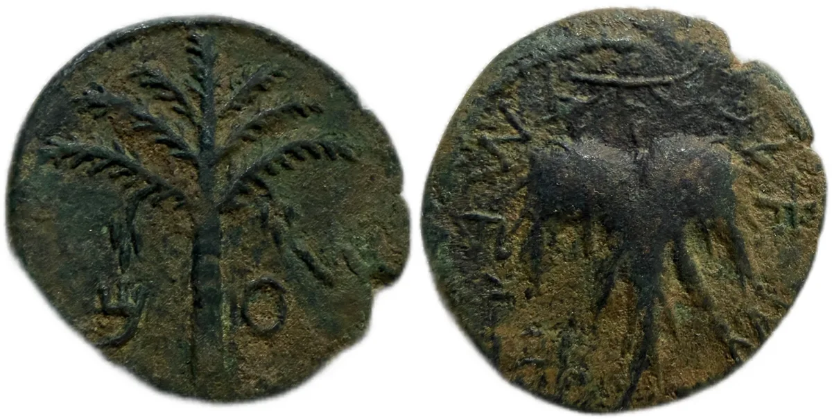 Judaea. Jerusalem. Bar Kochba Revolt AD 132-135. Bronze Æ