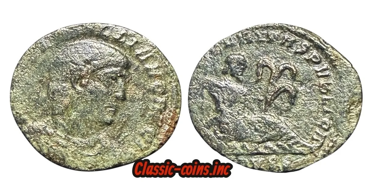 Hannibalianus, Follis, 336-337,