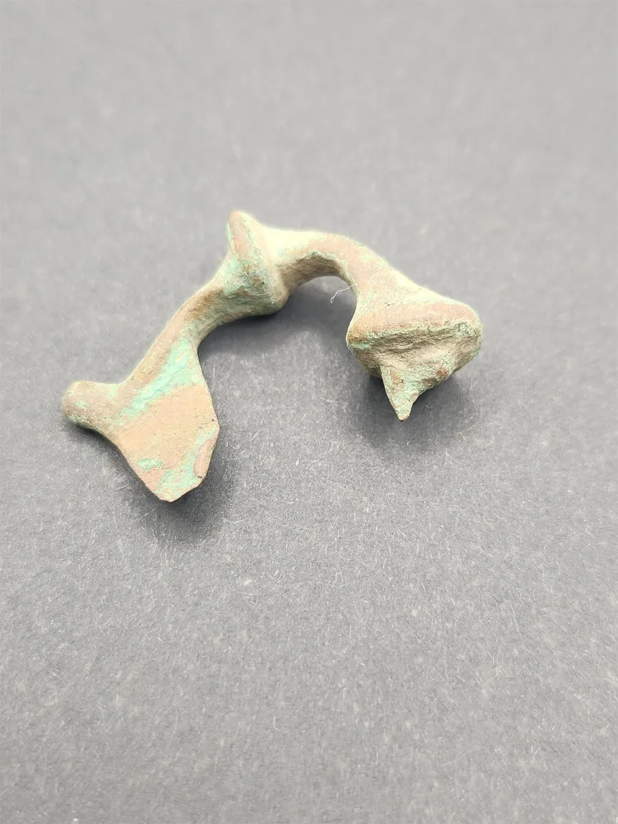 Roman Fibula